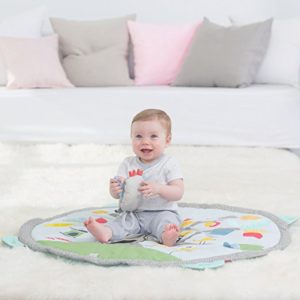 Skip Hop Friends Activity Gym Pastel Grey